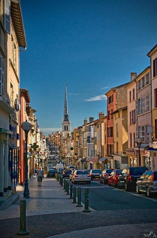 Le Cosy Shelby Proche Gare 150M Leilighet Villefranche-sur-Saône Eksteriør bilde